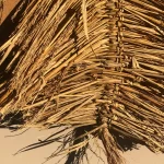 Grass Wall Hanging 3